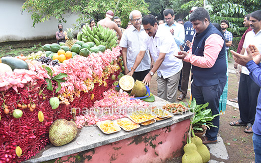 Halasu Mela